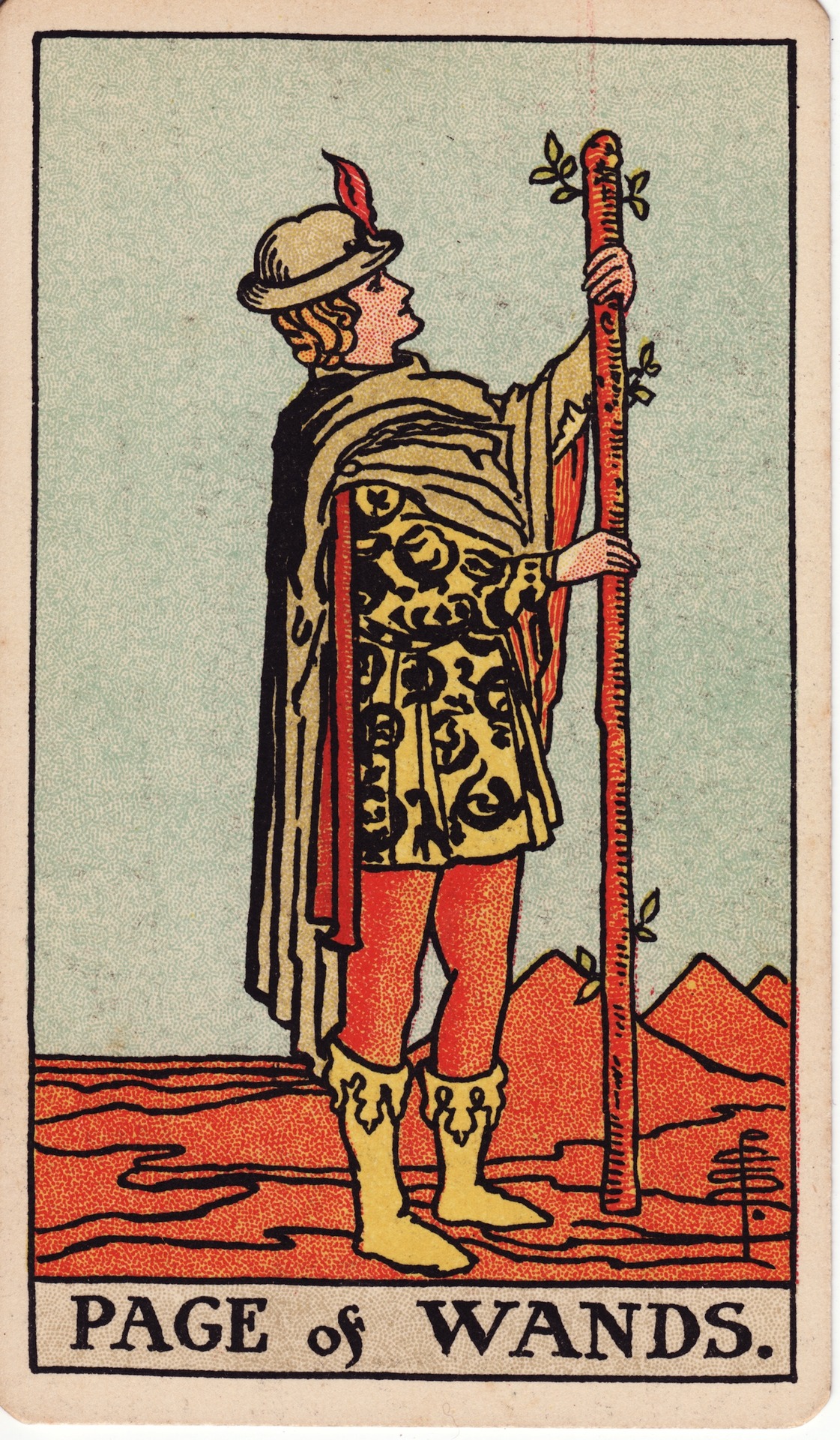 Pajem de Paus